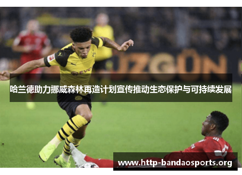 哈兰德助力挪威森林再造计划宣传推动生态保护与可持续发展 哈兰德助力挪威森林再造计划宣传推动生态保护与可持续发展