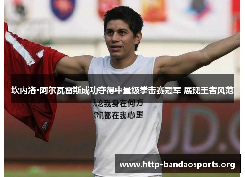 坎内洛·阿尔瓦雷斯成功夺得中量级拳击赛冠军 展现王者风范 坎内洛·阿尔瓦雷斯成功夺得中量级拳击赛冠军 展现王者风范