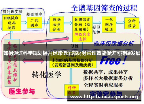 如何通过科学规划提升足球俱乐部财务管理效能促进可持续发展 如何通过科学规划提升足球俱乐部财务管理效能促进可持续发展
