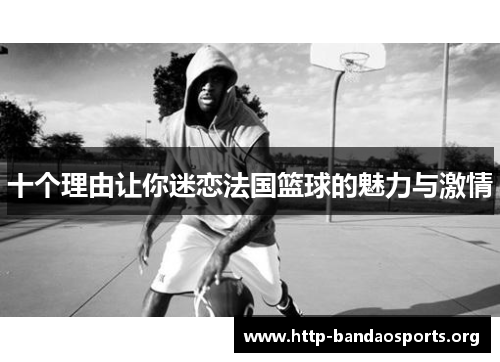 十个理由让你迷恋法国篮球的魅力与激情 十个理由让你迷恋法国篮球的魅力与激情