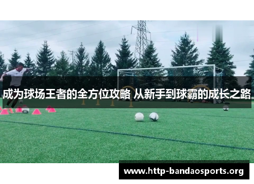成为球场王者的全方位攻略 从新手到球霸的成长之路 成为球场王者的全方位攻略 从新手到球霸的成长之路