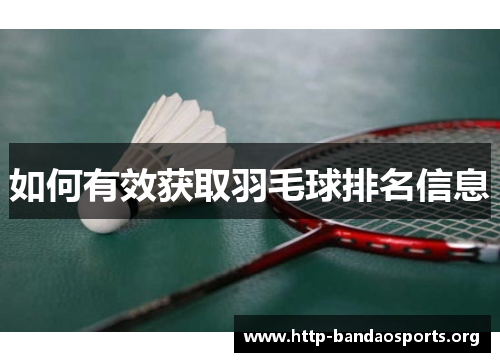 如何有效获取羽毛球排名信息 如何有效获取羽毛球排名信息