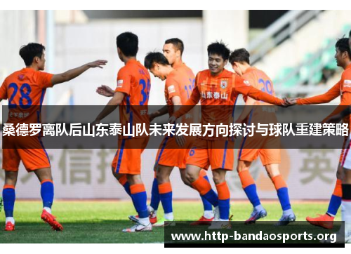 桑德罗离队后山东泰山队未来发展方向探讨与球队重建策略 桑德罗离队后山东泰山队未来发展方向探讨与球队重建策略