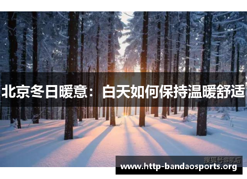 北京冬日暖意:白天如何保持温暖舒适 北京冬日暖意:白天如何保持温暖舒适