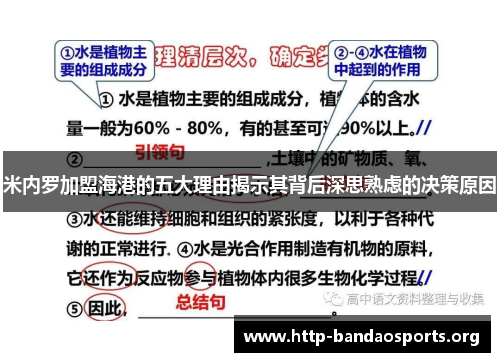 米内罗加盟海港的五大理由揭示其背后深思熟虑的决策原因 米内罗加盟海港的五大理由揭示其背后深思熟虑的决策原因