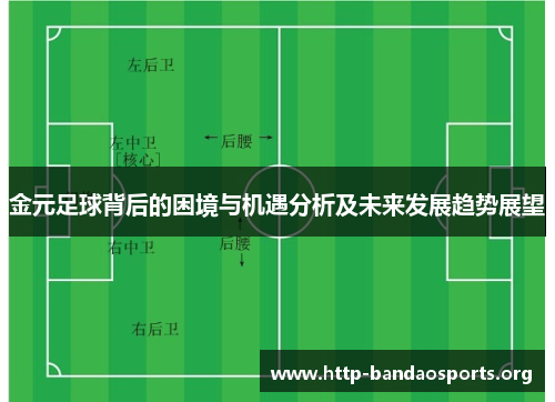 金元足球背后的困境与机遇分析及未来发展趋势展望 金元足球背后的困境与机遇分析及未来发展趋势展望